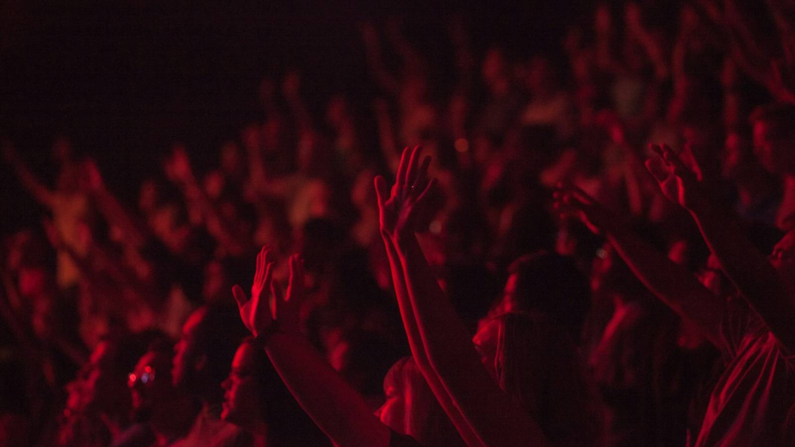 crowd lifting their hands watching concert